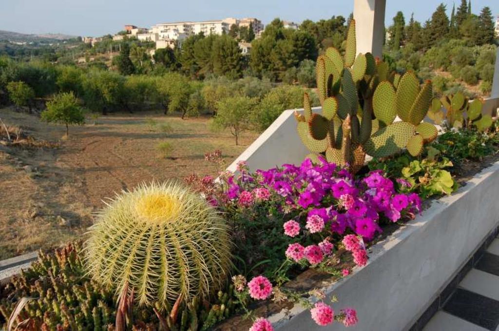 B&B Quattromulini Noto Exteriör bild